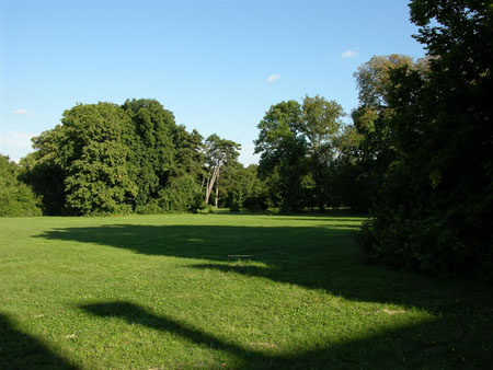 DSCN3300